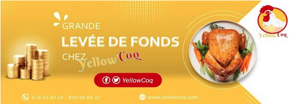 Yellow coq